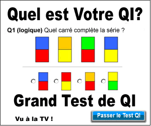 Gran test de QI